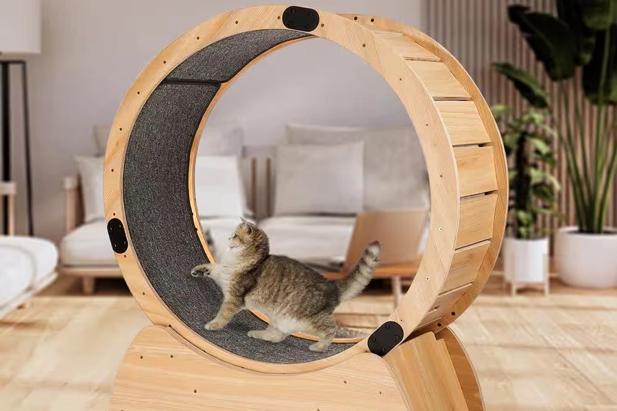 Durable Wooden Pet Treadmill