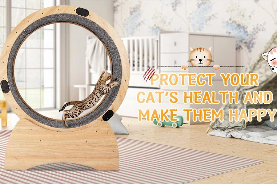 Cat Fitness Wheel for Small Spaces