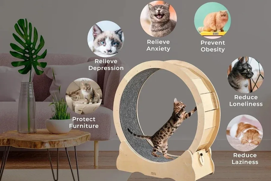 Wooden Cat Exercise Wheel