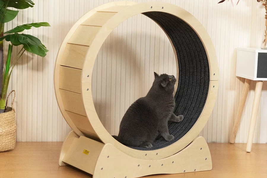 Durable Wooden Pet Treadmill