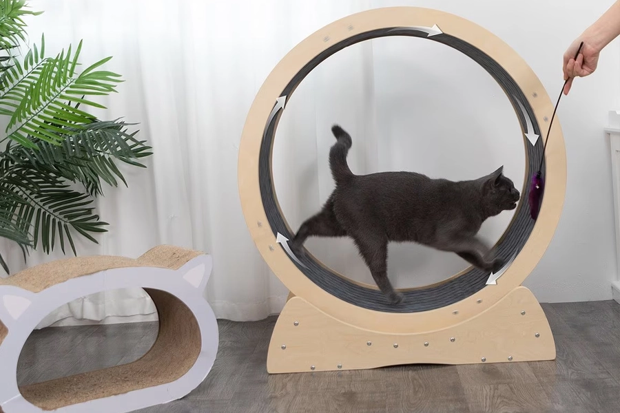 Durable Wooden Pet Treadmill